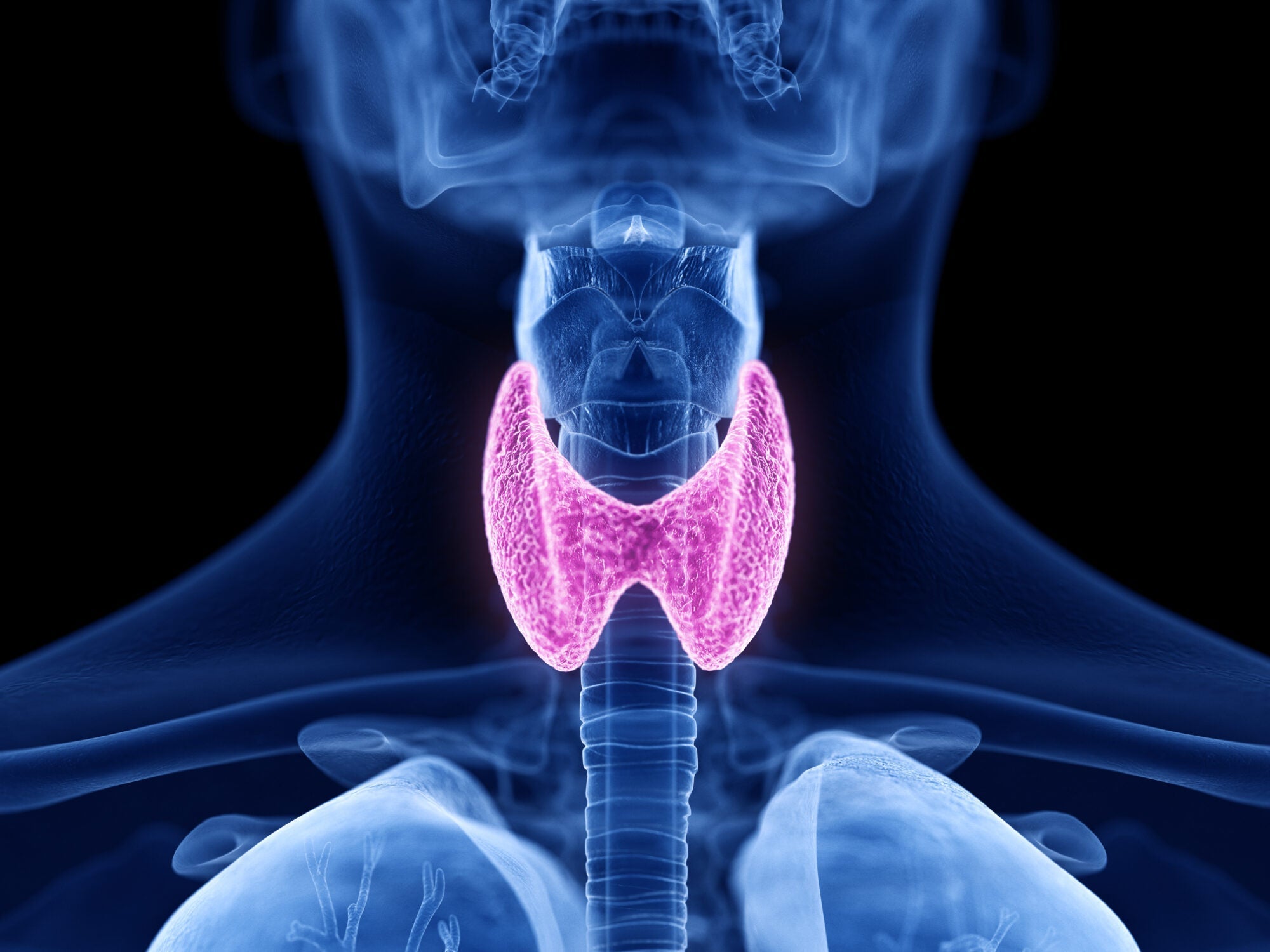 Clinical Study of the Biologically Active Thyroid Peptide Bioregulator