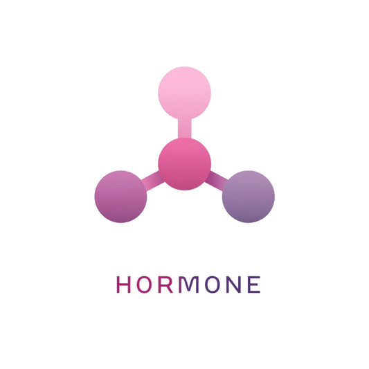 Hormonal & Endocrine Support
